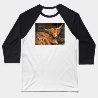 Honey the Hairy Coo Baseball T-Shirt